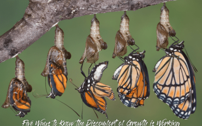 Five Ways to Know the Discomfort of Growth is Working